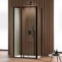 Ix Box Shower Lato Fisso per Porta Battente Liko One LFBMA120BK 8 Millimetri Nero