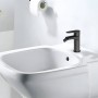 Miscelatore monocomando per bidet in ottone nero opaco serie Green con cartuccia da mm 35 piletta da 1.1/4